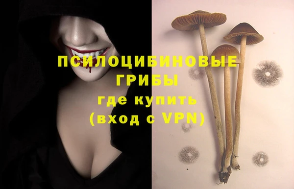 а пвп мука Протвино