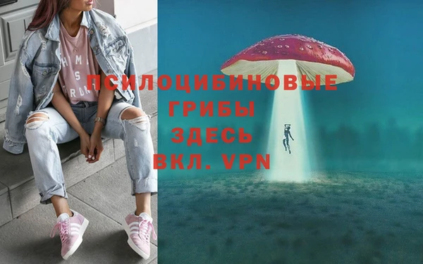 гидропоника Пролетарск