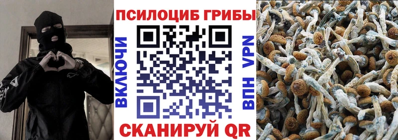 Галлюциногенные грибы Psilocybe  Купить  Почеп 