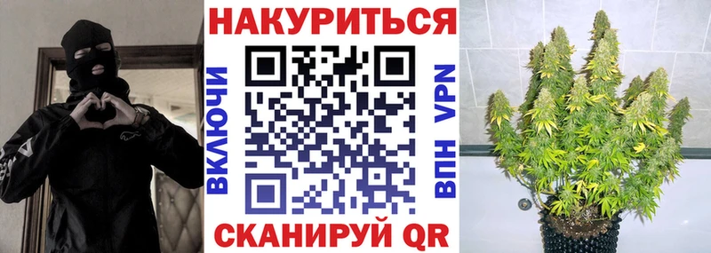 Купить  Почеп  Бошки Шишки ГИДРОПОН 